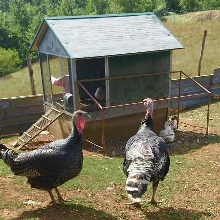 Cozy Farmhouse In Pupaggi With Swimming Pool Σπίτι διακοπών