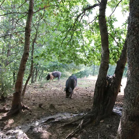 Σπίτι διακοπών Cozy Farmhouse In Pupaggi With Swimming Pool